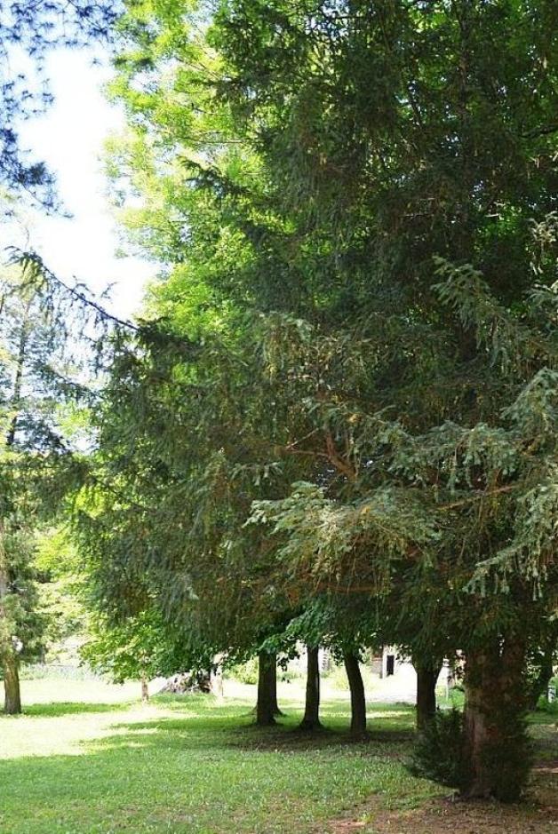 Bystrzyca Kłodzka: ten park nie tylko jest ich dumą